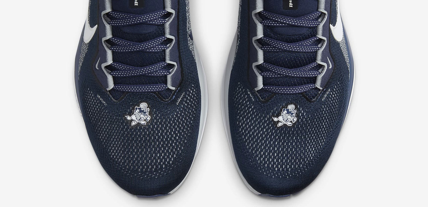 Pegasus 41 Cowboys