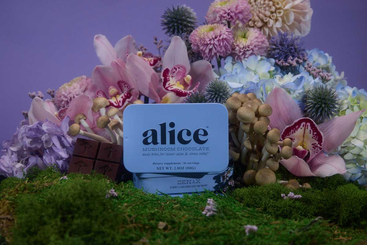 Alice Mushrooms